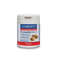 Lamberts Ashwagandha 6000mg Συμπλήρωμα Διατροφής Ανοσοποιητικού 60 Κάψουλες