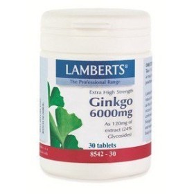 Lamberts Ginkgo Biloba Extract 6000mg, Ενίσχυση Μνήμης & Συγκέντρωσης, Βελτίωση Κυκλοφορίας του Αίματος,  Ενδυνάμωση της Τριχοφυϊας, 30tabs